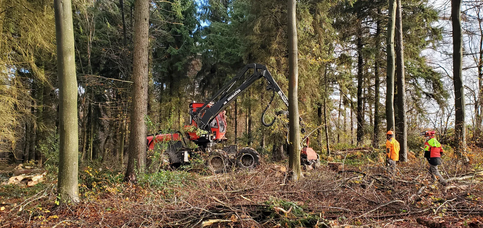 Nous parlons la langue de la filière bois