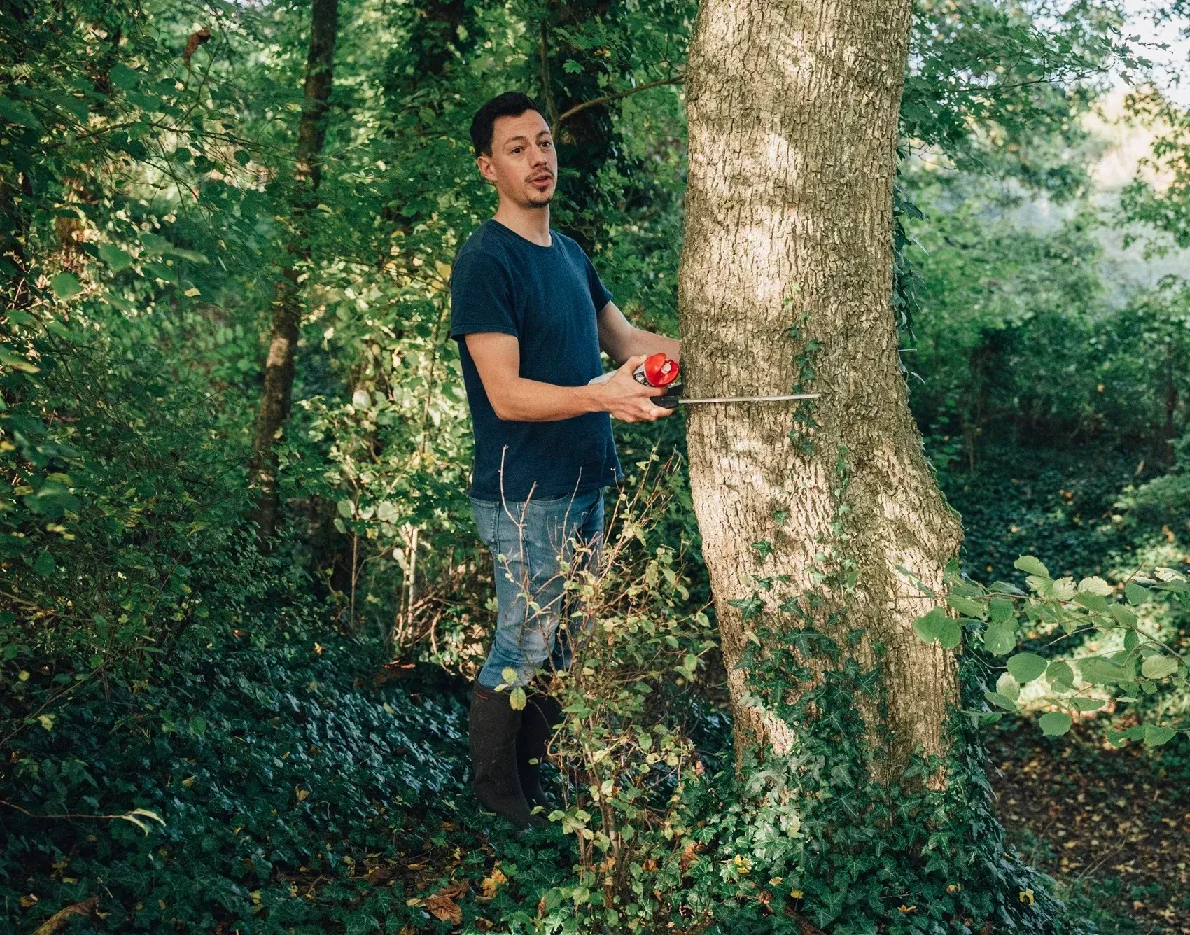 Combien coûte un gestionnaire forestier ?