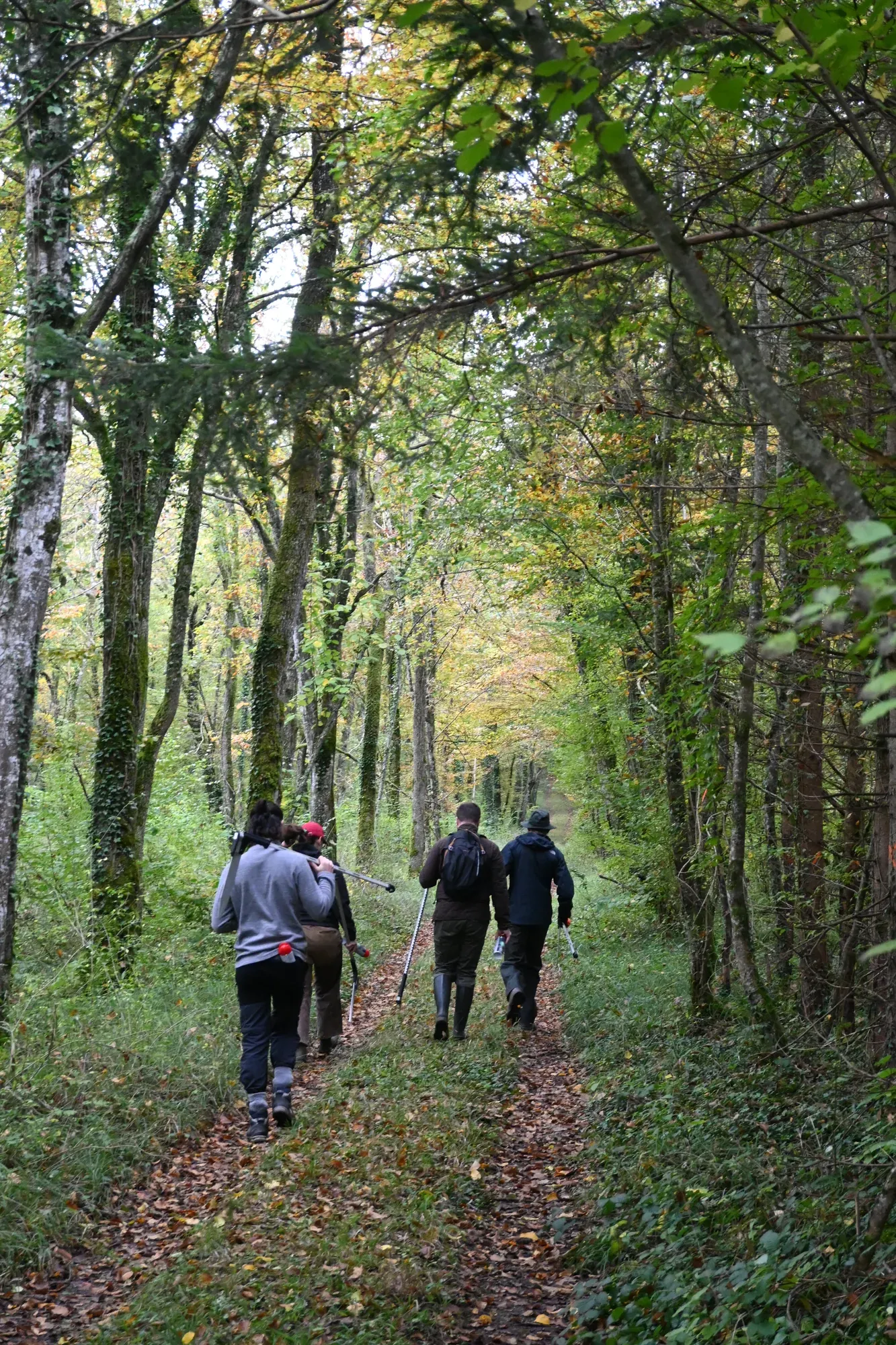 Quelle est la valeur de ma forêt ?